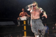 WRESTLING MANIA 
